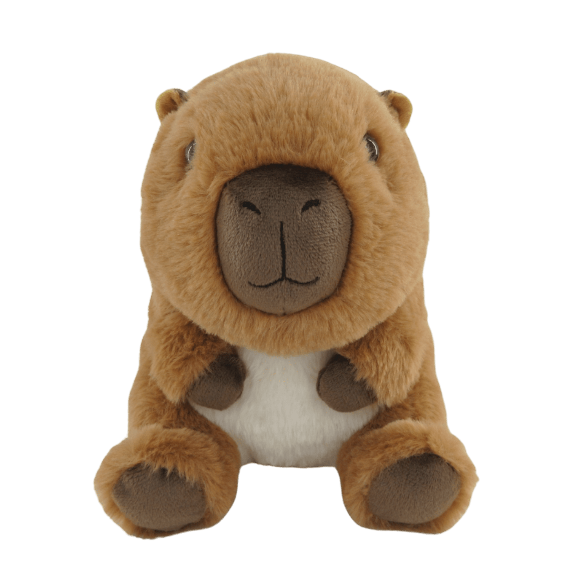 SHSKNU - 8 - 8” KNUBBY 4 ASST - 24pcs - ShopUNIS!